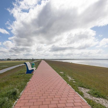 Direkt Am Deich - Ferienwohnung Amrum Im Gaestehaus Am Badedeich 다게불 외부 사진